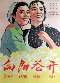 大陆国产精品视频